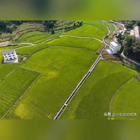河北大暴雨最新通知（河北大暴雨最新通知为什么解除了）