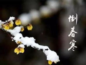遵义未来15天天气情况，阴雨与晴暖交替，春意渐浓需防倒春寒