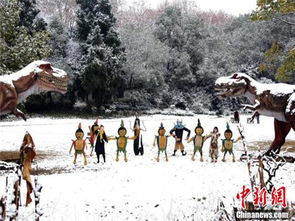 山东迎新一轮雨雪天气，2025年首场大范围降雪拉开序幕