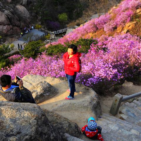 黄岛天气,山海之间的呼吸与变幻 黄岛天气,山海之间的呼吸与变幻
