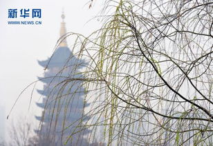 石家庄今日天气,晴空万里,气温回升,春意渐浓 石家庄今日天气,晴空万里,气温回升,春意渐浓