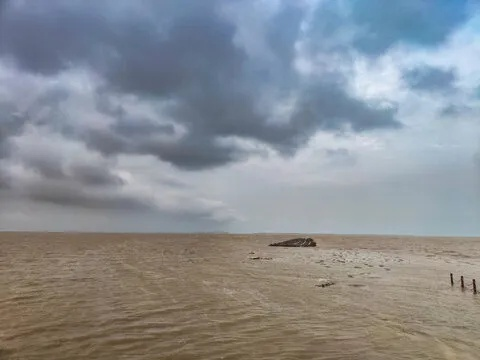 东营天气，黄河入海处的温柔与倔强